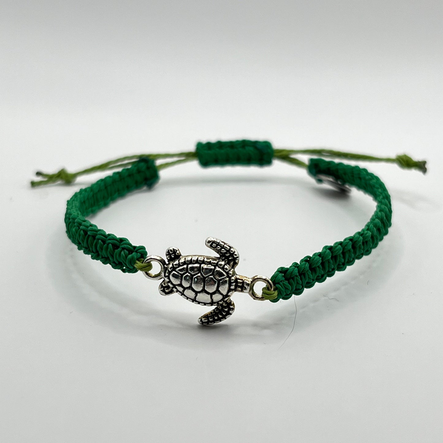 Tortuga