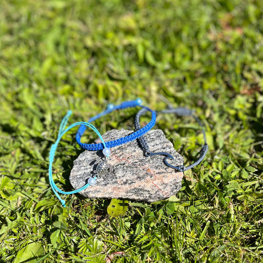 Tortuga Perla