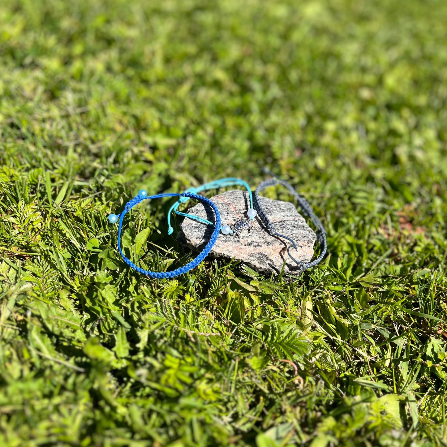 Tortuga Perla
